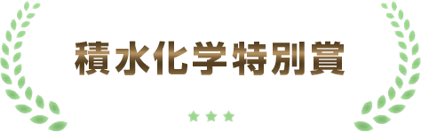 積水化学特別賞